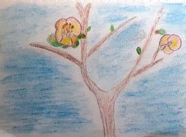 Мария Риман, 12 лет, б., цвет. каран. 